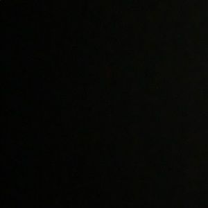 Meet your Posher, Laurie